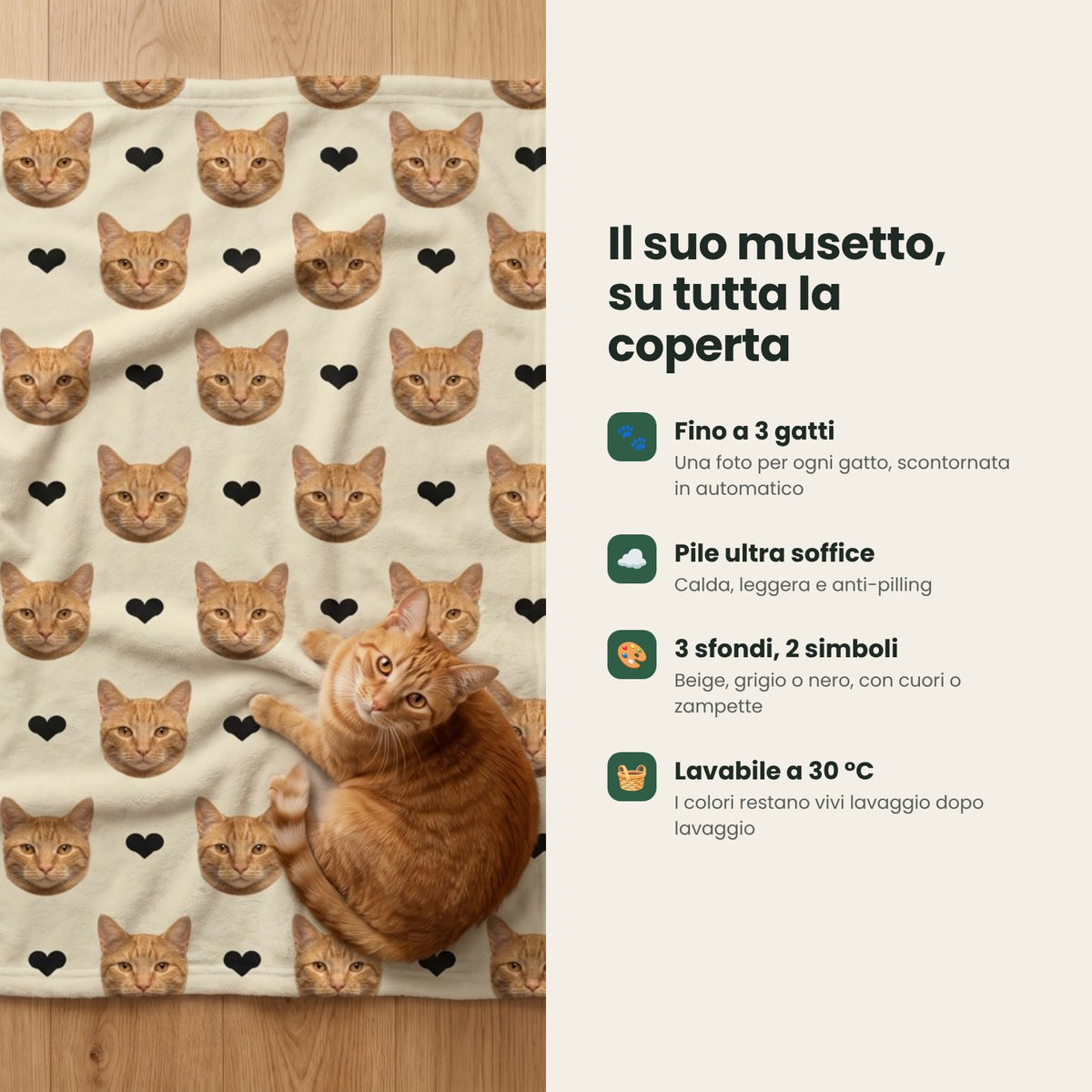 Dettagli: fino a 3 gatti, pile soffice, 3 sfondi, lavabile