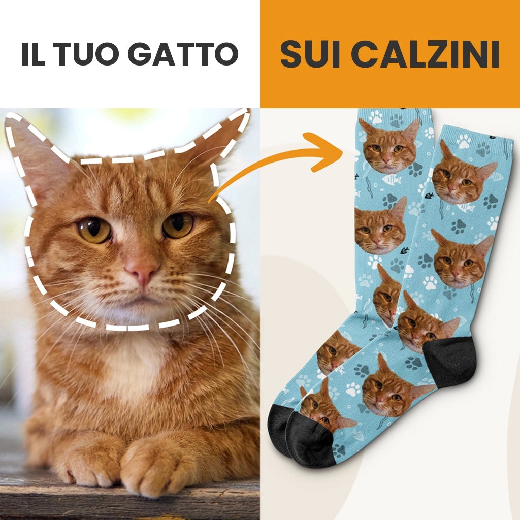 Il tuo gatto sui calzini