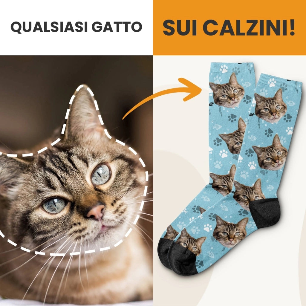 Qualsiasi gatto sui calzini