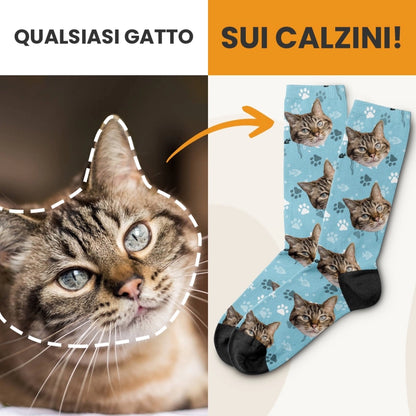 Qualsiasi gatto sui calzini