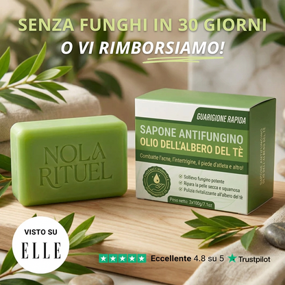 Micotera Pure™