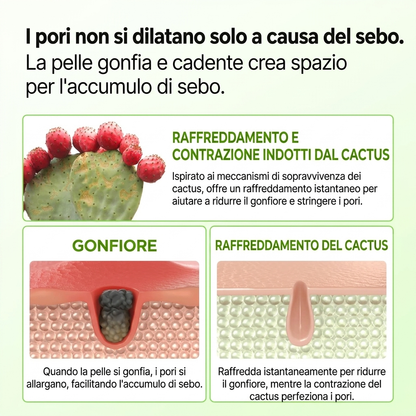 Cactilux™
