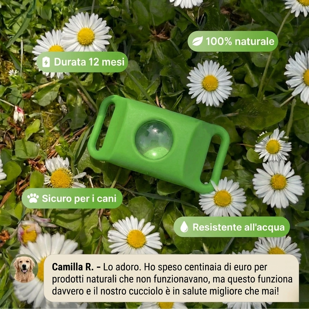 ZampaSafe™