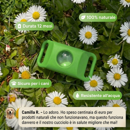 ZampaSafe™