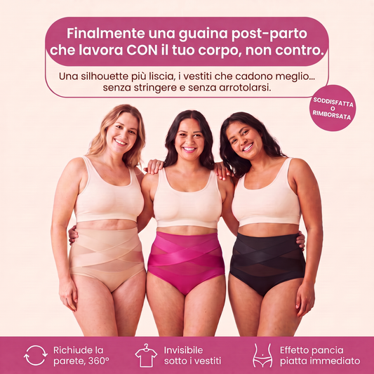 Ventris 360