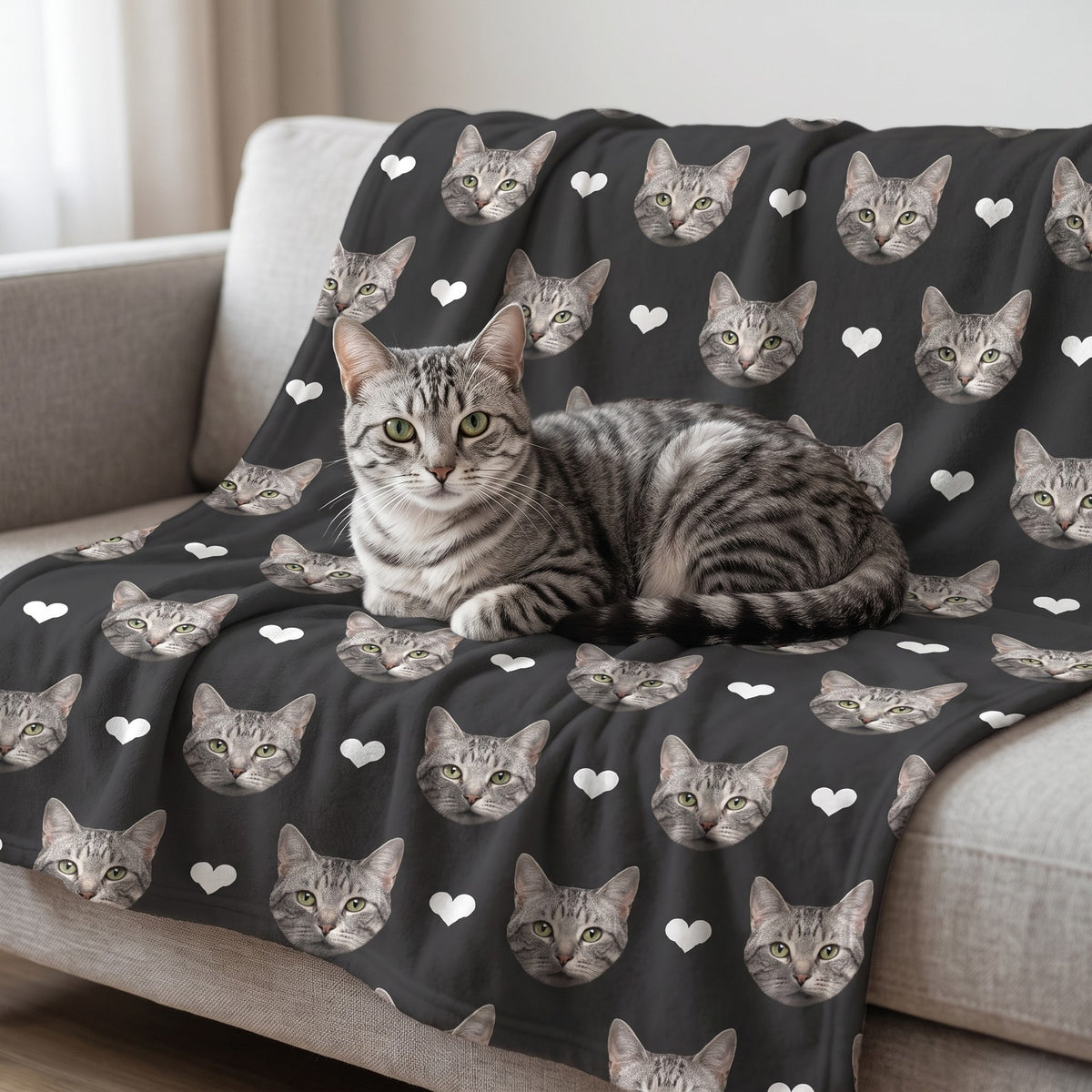Gatto tigrato sdraiato sulla coperta nera con i musetti e i cuori