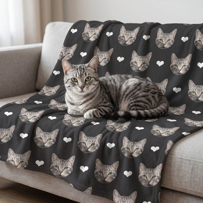Gatto tigrato sdraiato sulla coperta nera con i musetti e i cuori