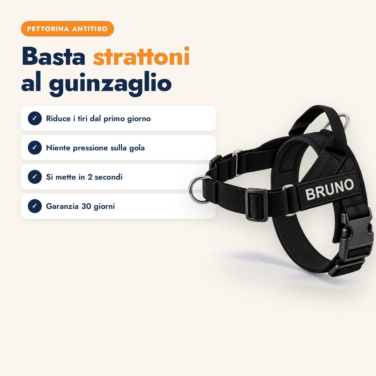 PassoLibero slide 1