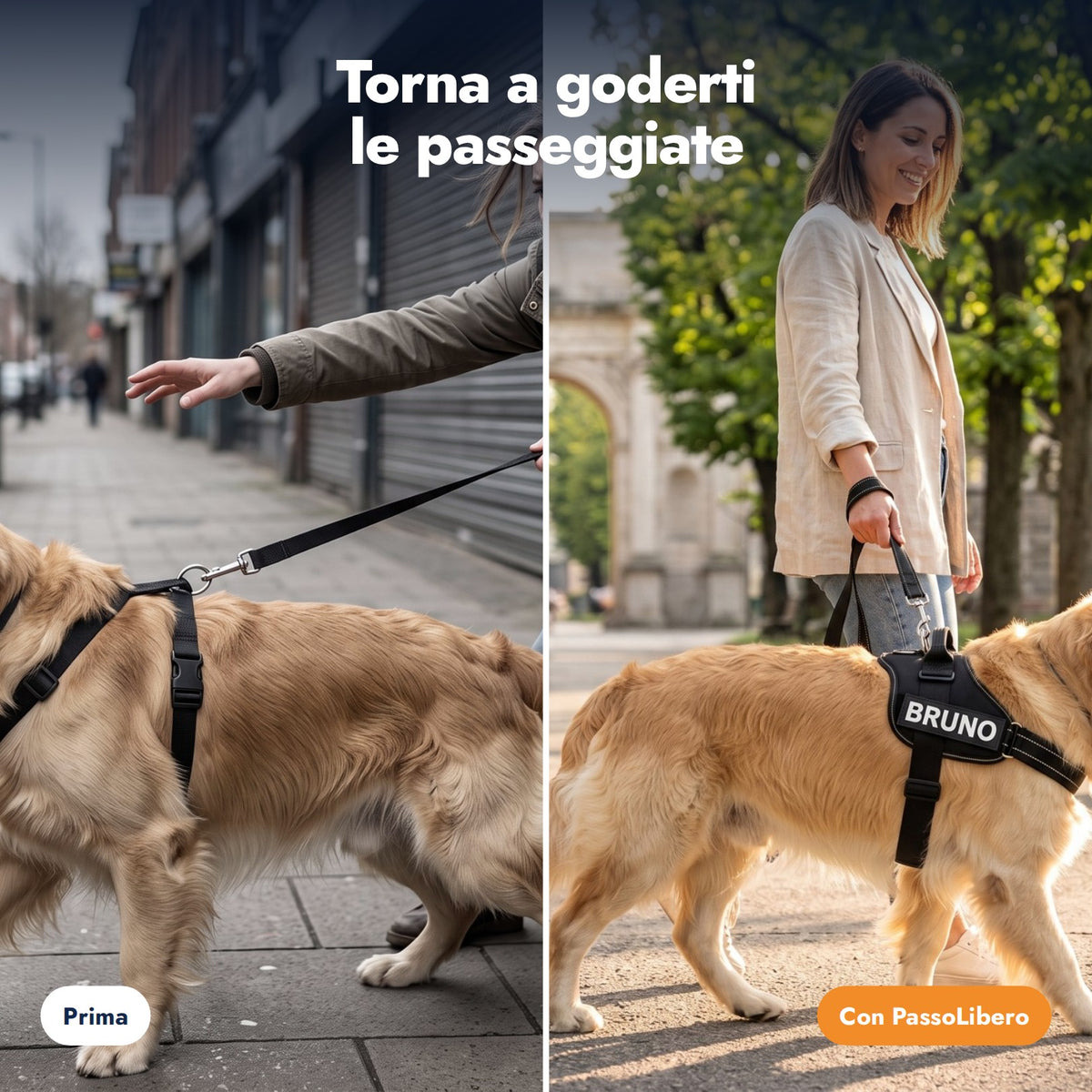 PassoLibero slide 2