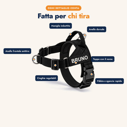 PassoLibero slide 3