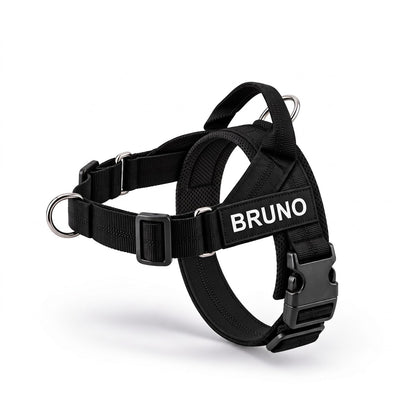 Pettorina Nero