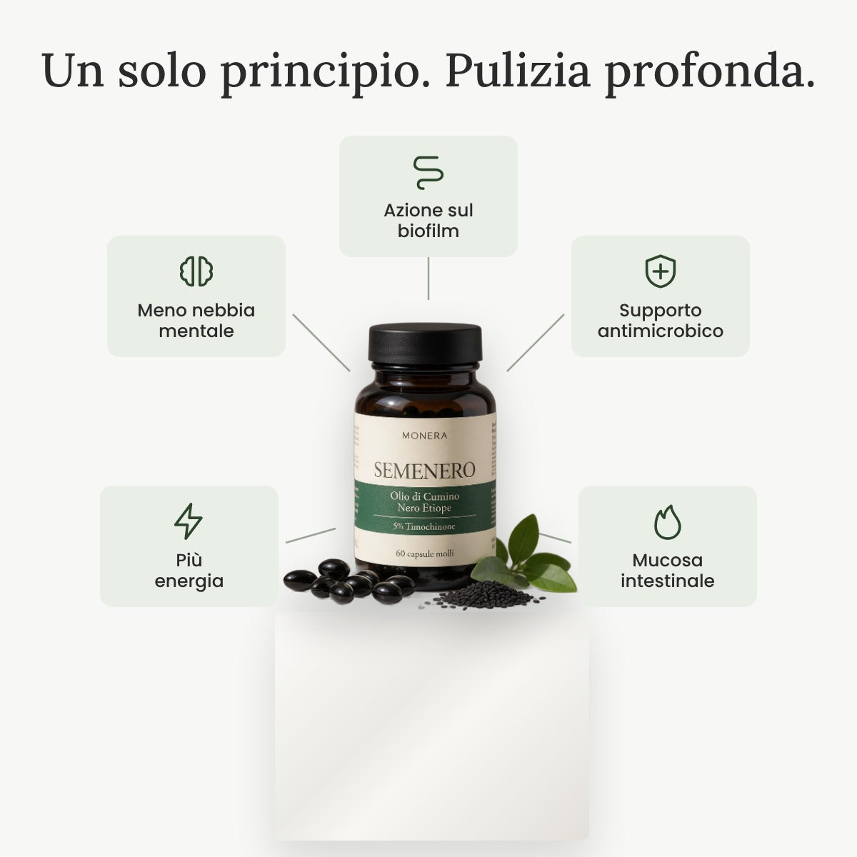 Un solo principio, pulizia profonda