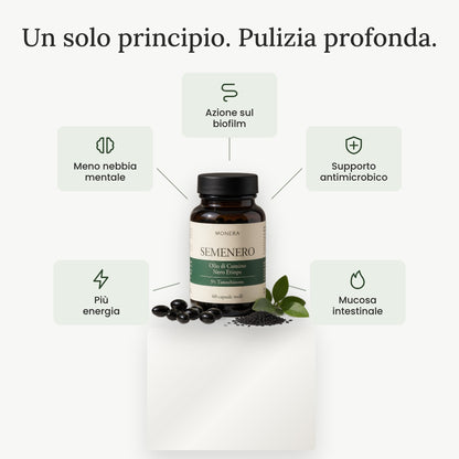 Un solo principio, pulizia profonda