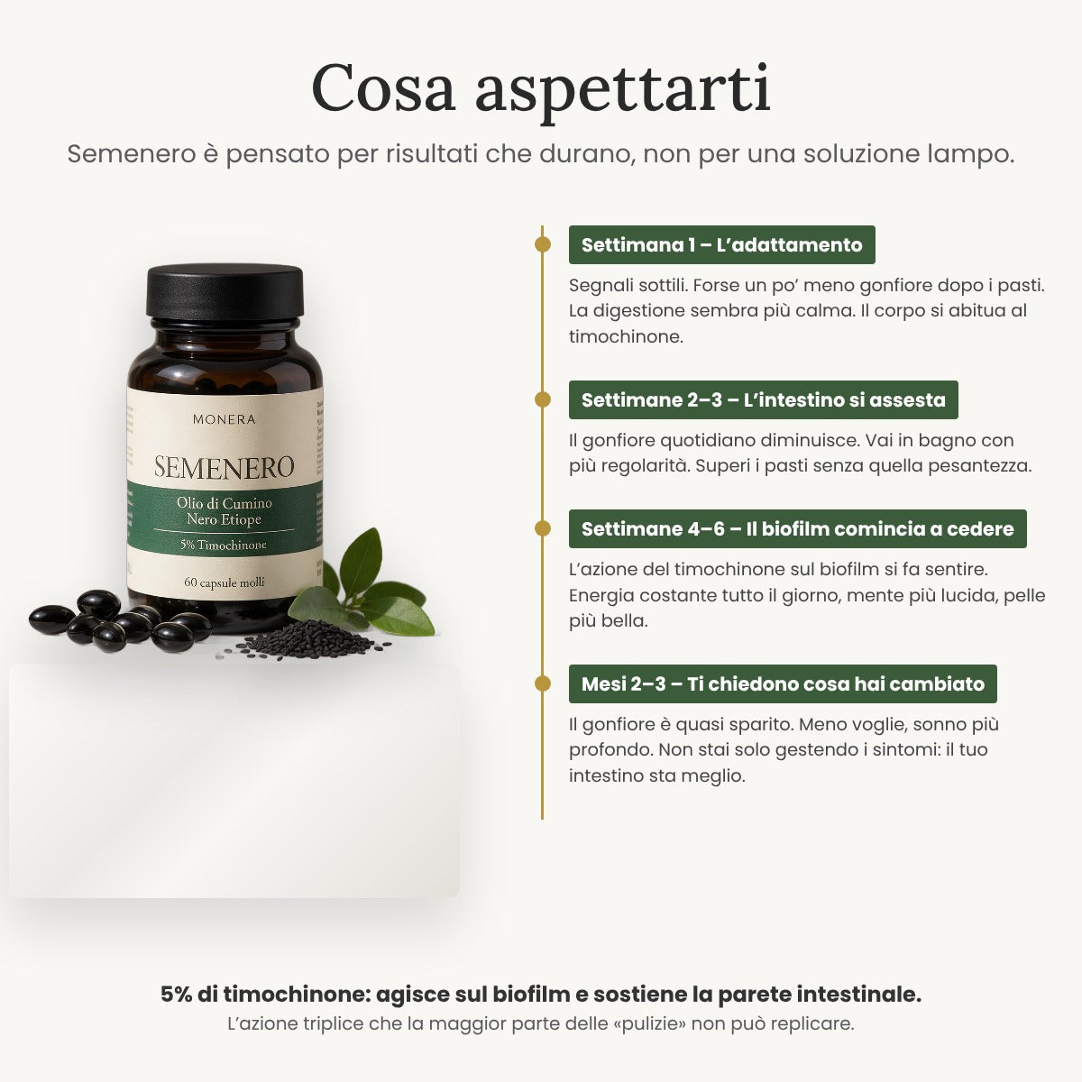 Cosa aspettarti