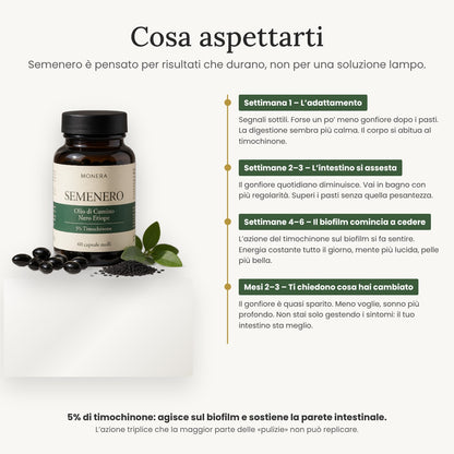 Cosa aspettarti