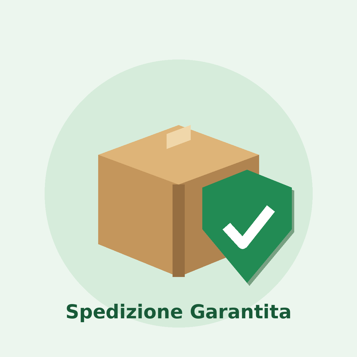 Spedizione Garantita