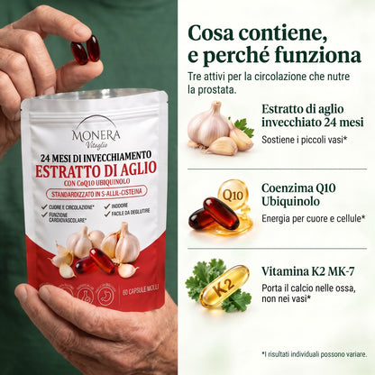 Tre attivi per la circolazione che nutre la prostata